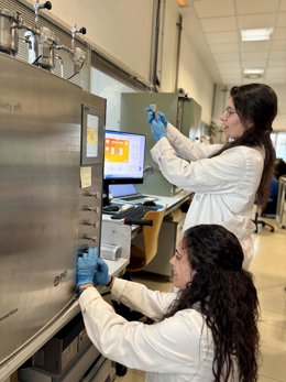Un equipo de investigación de la UCLM transforma huesos de aceituna en catalizadores para producir metano a partir de CO2