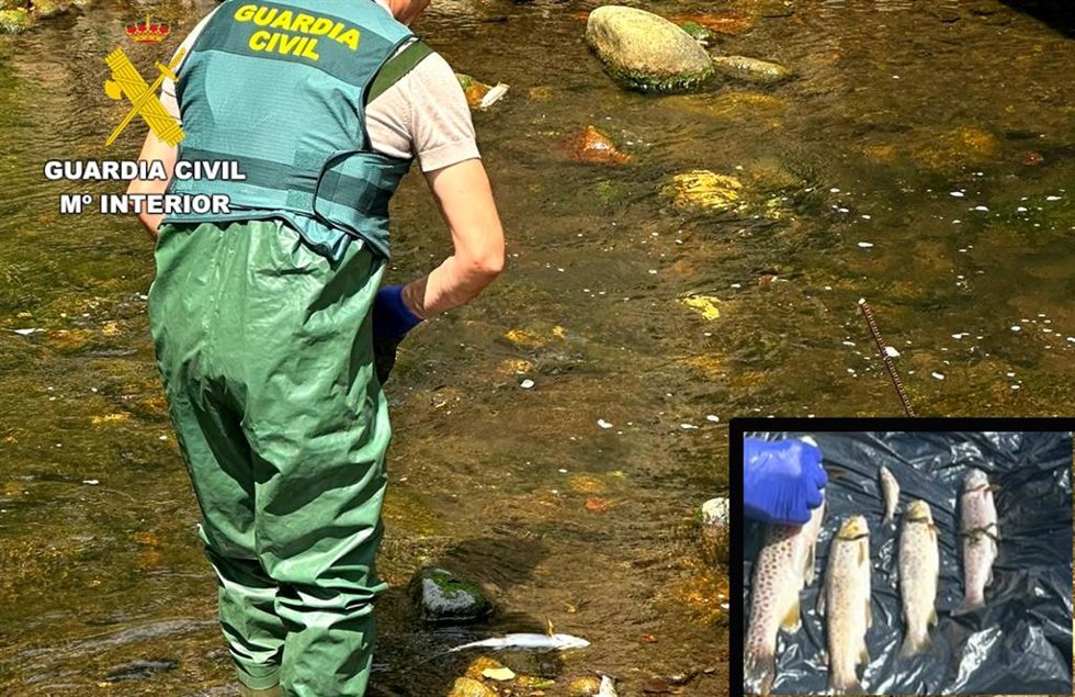 Investigado el responsable de una explotación ganadera de Saro por el vertido en los ríos Pisueña y Llerana