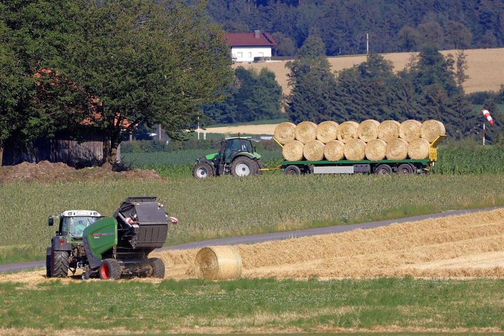 Trabajadores del campo