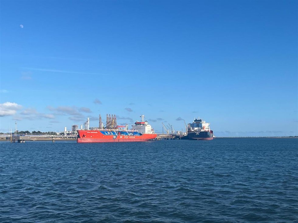 Grandes buques en el Puerto de Huelva.