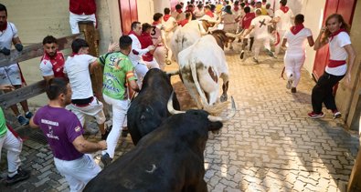 Navarra