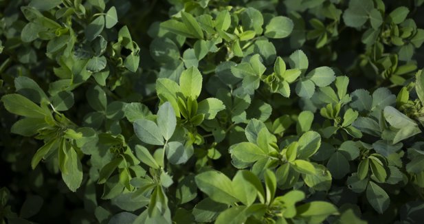 EpAgro - Agricultura