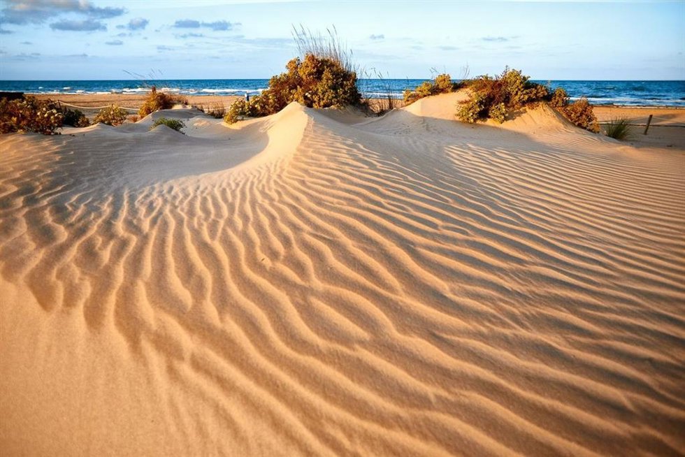 Playa de l'Auir (Gandia).