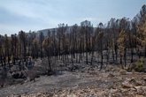 Foto: El incendio de La Mierla sigue sin estar estabilizado aún y los esfuerzos se centran en el sector noroeste
