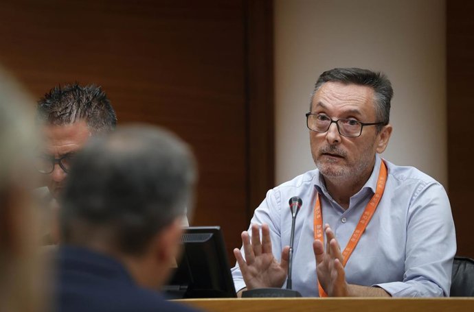 El president de la cooperativa de Les Naus, Luis Alberto Meler, este dijous durant la seua compareixença en la comissió d'investigació de Les Corts Valencianes per les VPP