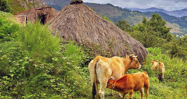 Asturias Rural