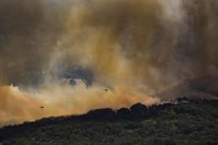 WWF pide a los políticos que "superen sus diferencias" y alcancen un acuerdo estatal frente a los incendios forestales