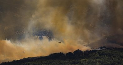 Medio Ambiente