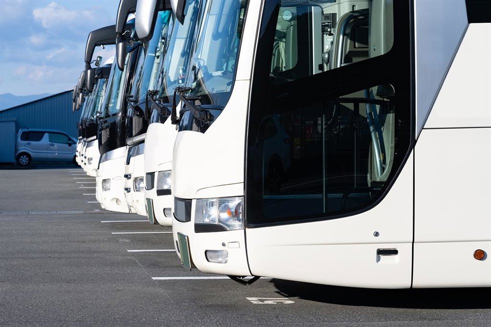 Autobuses.