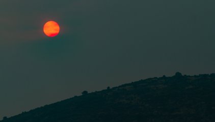 Última hora de los incendios forestales en España, en directo: focos activos, zonas afectadas y evacuaciones