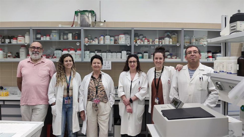 Equipo investigador liderado por la UCLM que ha identificado la disminución de una hormona como desencadenante de diabetes tipo 2.