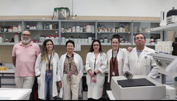 Investigación