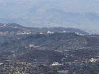 Afectados por el incendio de Bédar y Los Gallardos (Almería) crean un grupo de trabajo para buscar soluciones