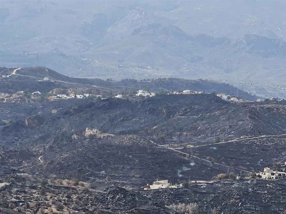 Terrenos calcinados por el incendio de Bédar y Los Gallardos (Almería).