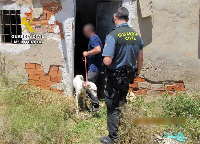 Rescatan un galgo con desnutrición severa en Jumilla e investigan a su propietario por maltrato animal