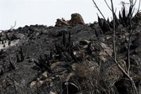 El incendio de Los Gallardos (Almería) sigue sin extinguirse dos semanas después y mantiene 18 bomberos sobre el terreno