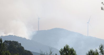 Medio Ambiente