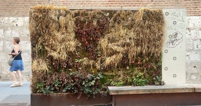 Castilla y León
