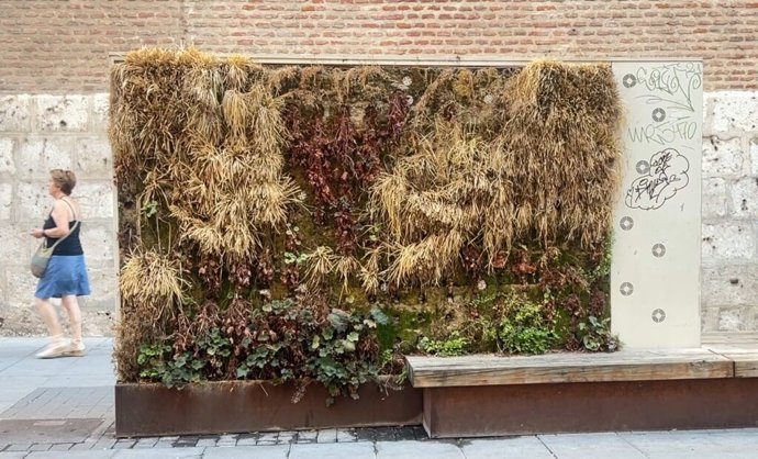 Uno de los módulos vegetales en la calle Santiago de Valladolid.