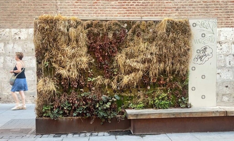 Uno de los módulos vegetales en la calle Santiago de Valladolid.