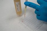 Foto: Sanidad decreta alerta alimentaria por listeria en fuet ibérico de marca Sierra Nevada distribuido en Granada y Málaga