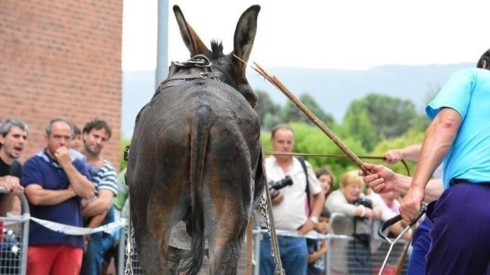 Euskadi
