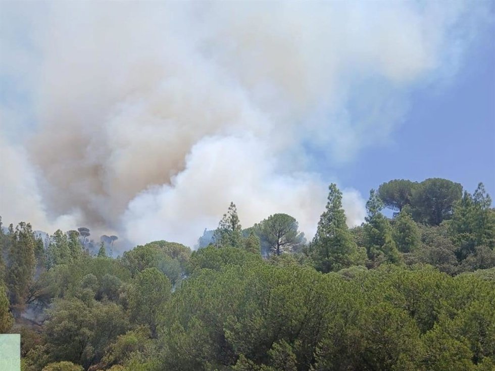 Incendio forestal en un paraje de Cerro Muriano, en Córdoba, junto a la carretera N-432.