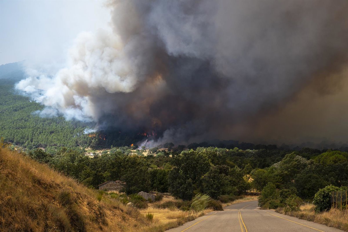 Transición Ecológica despliega 31 medios aéreos, 2 unidades de apoyo y 8 brigadas de bomberos forestales por los fuegos