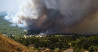 Medio Ambiente