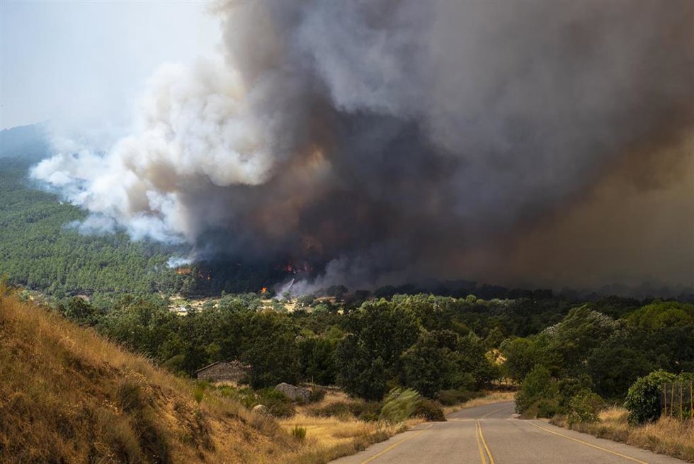 Una espesa columna de humo cerca de El Castañar de El Tiemblo 