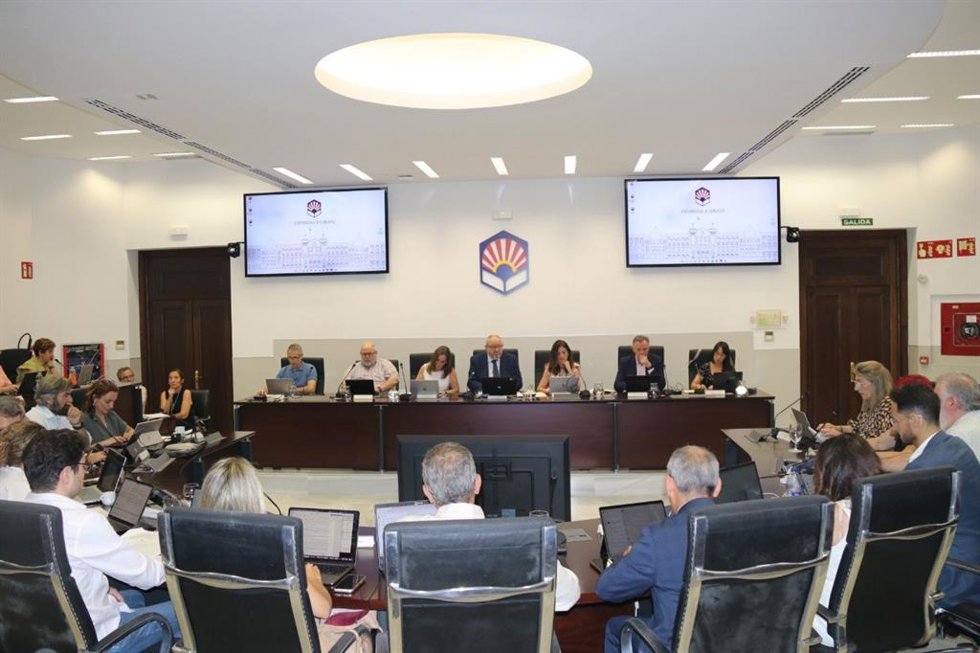 Reunión del consejo de gobierno de la Universidad de Córdoba.