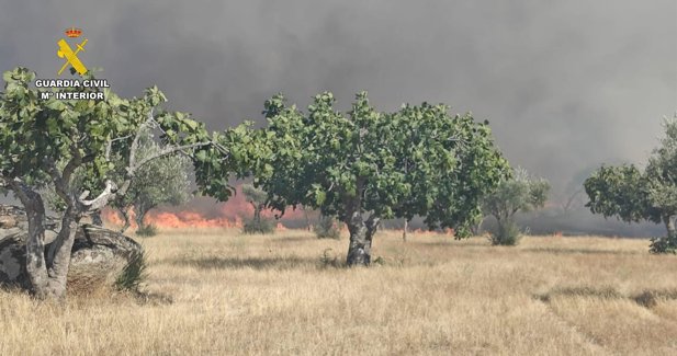 Extremadura