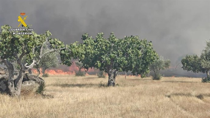 Imagen del incendio en Arroyo de la Luz (Cáceres)