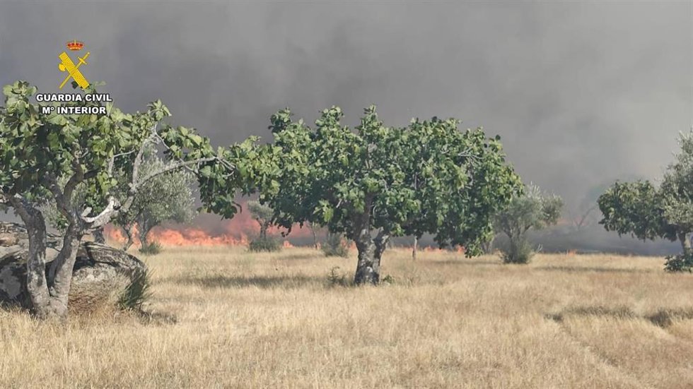 Imagen del incendio en Arroyo de la Luz (Cáceres)