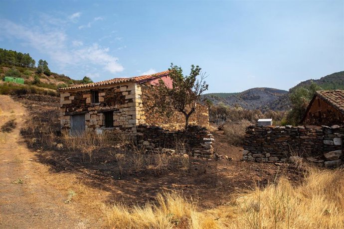 Terreno quemado por el incendio forestal, a 23 de julio de 2026, en La Mierla, Guadalajara, Castilla-La Mancha (España). Según fuentes del gobierno regional, el fuego de La Mierla, que cumple su primera semana activo y que ya ha calcinado unas 32.000 hect