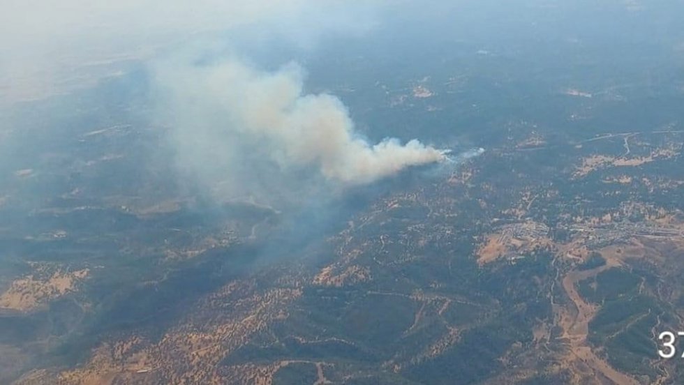 Incendio forestal declarado este viernes al arder un camión cargado de paja en la N-432, desde donde se ha extendido a la zona de abundante vegetación en un paraje de Cerro Muriano, en Córdoba, que ha obligado a desalojos.