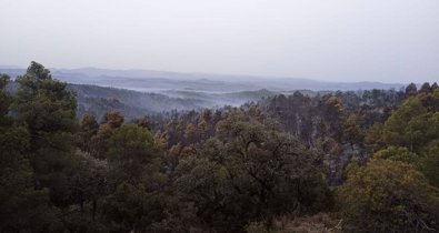 Aragón