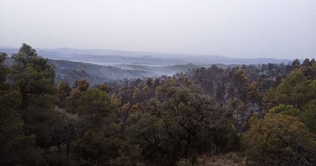 Aragón