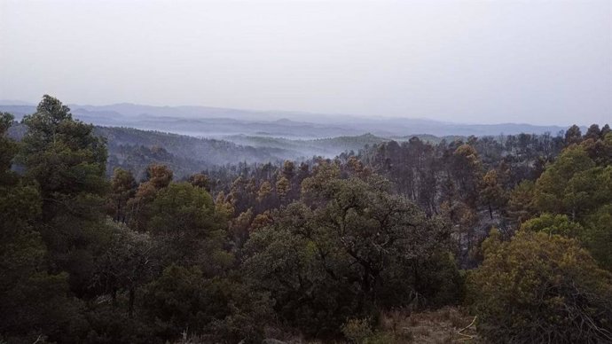 Imagen del incendio tomada este viernes a primera hora de la mañana.