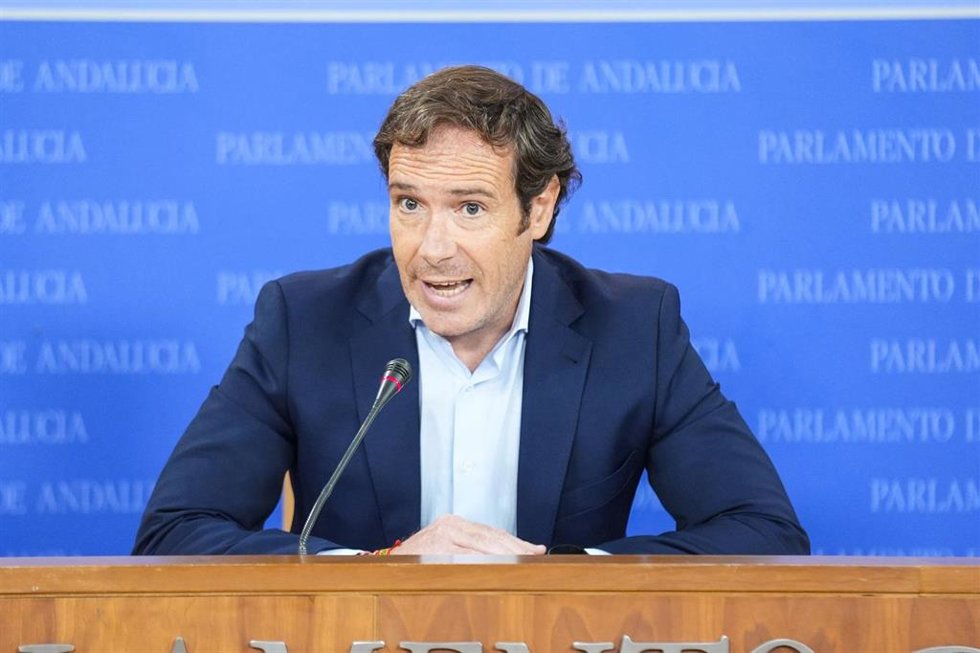 El portavoz del grupo parlamentario Vox, Javier Cortés
