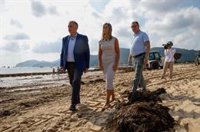 Retiradas 230 toneladas de alga asiática de la playa de Trengandín de Noja