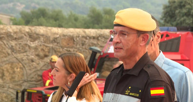Vídeos