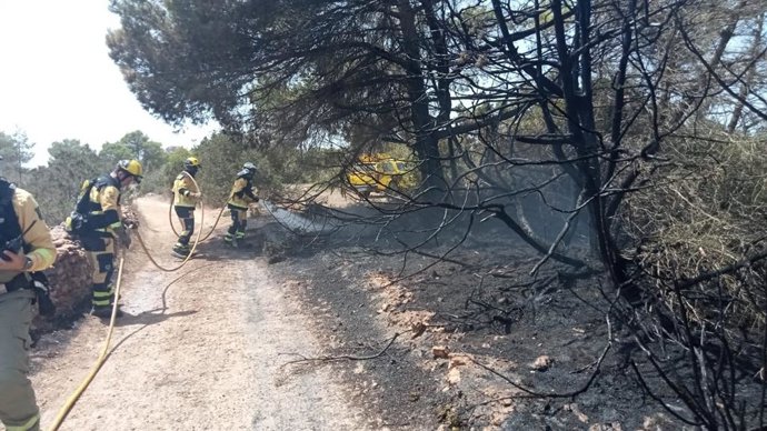 Medios terrestres y aéreos combaten un incendio agrícola en Formentera