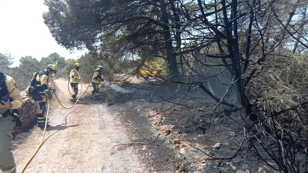Medios terrestres y aéreos combaten un incendio agrícola en Formentera