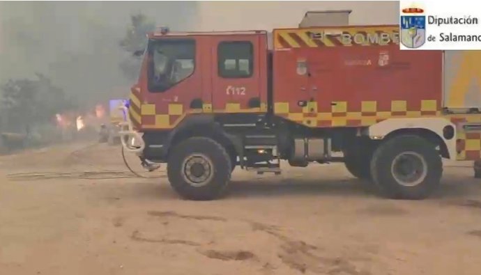 Los Bomberos de la Diputación de Salamanca rescatan a 20 perros atrapados por el fuego en Cebreros (Ávila)