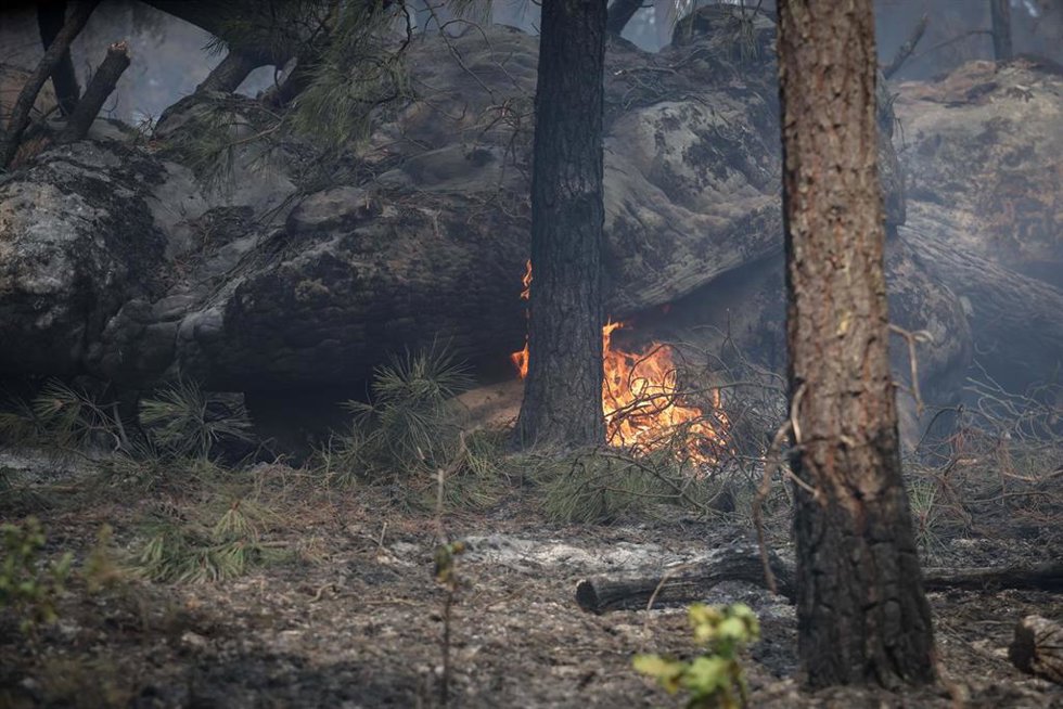 Archivo - Los bomberos y las fuerzas de seguridad están trabajando cerca del incendio que se declaró este domingo en el bosque de Fontainebleau (Francia)