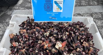 Pesca Galicia