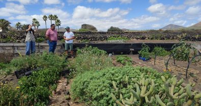 Islas Canarias