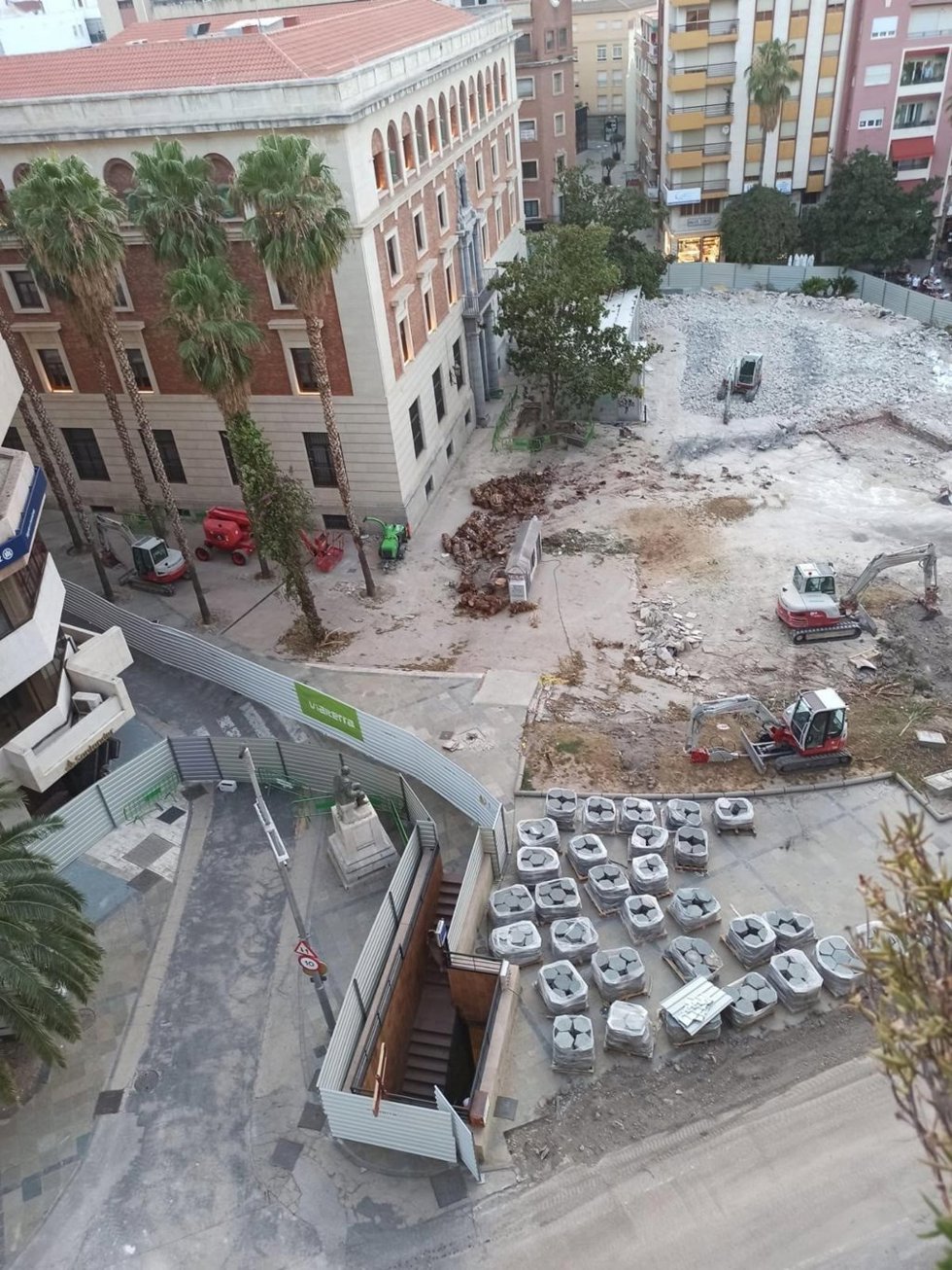 Tala de palmeras en la Plaza de la Constitución de Jaén.