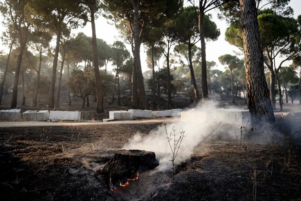 Efectos del incendio forestal de la sierra oeste de Madrid, en la finca La Granjilla, a 26 de julio de 2026, en Cadalso de los Vidrios, Madrid (España). El incendio obligó a desalojar el sábado 25 de julio Cadalso de los Vidrios y Rozas de Puerto Real.